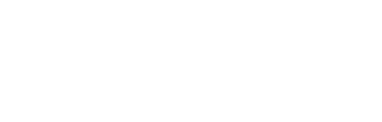 Simkraft Logo